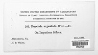 Image Associated With the Occurence